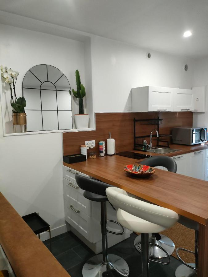 Le Petit Cocon - Parking Prive - Lyon Sud Apartment เวนิส์ซูซ์ ภายนอก รูปภาพ