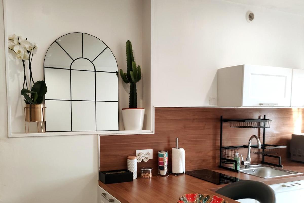Le Petit Cocon - Parking Prive - Lyon Sud Apartment เวนิส์ซูซ์ ภายนอก รูปภาพ